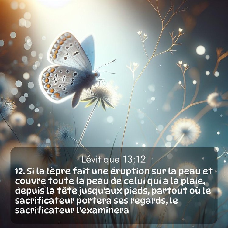 Segond Lévitique 13:12