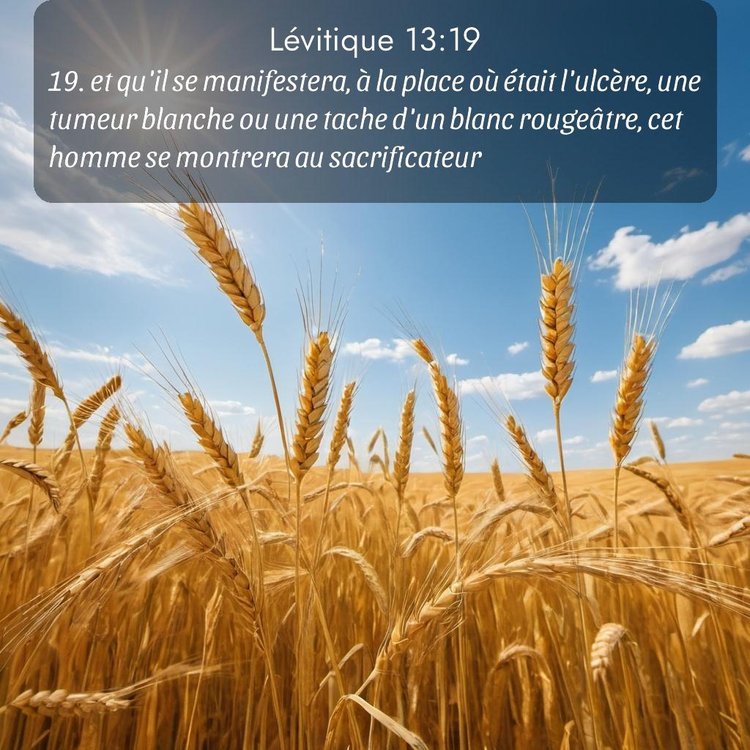 Segond Lévitique 13:19