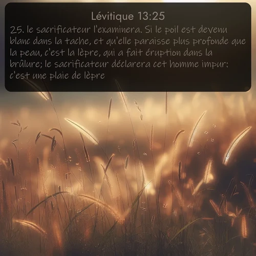 Segond Lévitique  ; image nature: image avec le verset biblique :le sacrificateur l&#039;examinera. Si le poil est devenu blanc dans la tache, et qu&#039;elle paraisse plus profonde que la peau, c&#039;est la lèpre, qui a fait éruption dans la brûlure; le sacrificateur déclarera cet homme impur: c&#039;est une plaie de lèpre. ;  ; 13:25