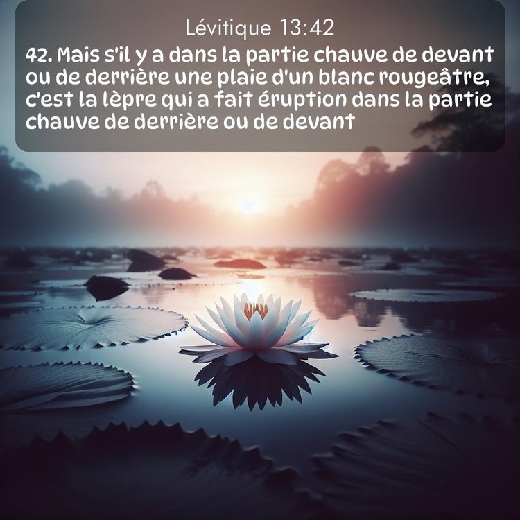 Segond Lévitique 13:42