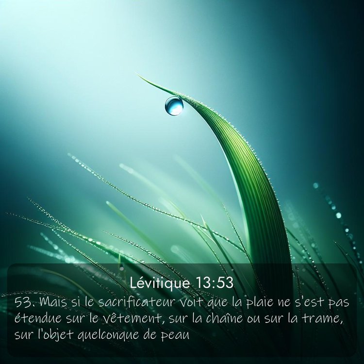 Segond Lévitique 13:53