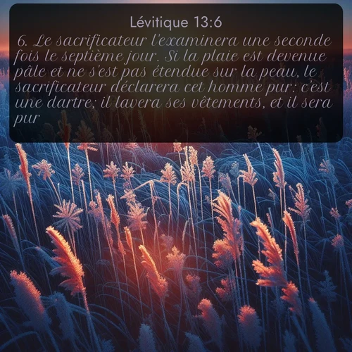Segond Lévitique  ; image nature: image avec le verset biblique :Le sacrificateur l&#039;examinera une seconde fois le septième jour. Si la plaie est devenue pâle et ne s&#039;est pas étendue sur la peau, le sacrificateur déclarera cet homme pur: c&#039;est une dartre; il lavera ses vêtements, et il sera pur. ;  ; 13:6