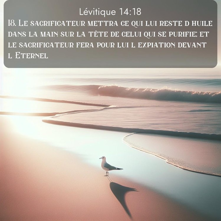 Segond Lévitique 14:18