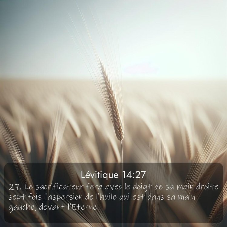 Segond Lévitique 14:27