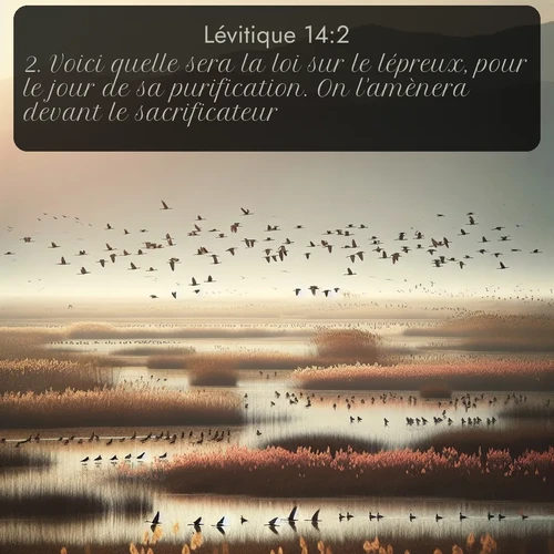 Segond Lévitique  ; image nature: image avec le verset biblique :Voici quelle sera la loi sur le lépreux, pour le jour de sa purification. On l&#039;amènera devant le sacrificateur. ;  ; 14:2
