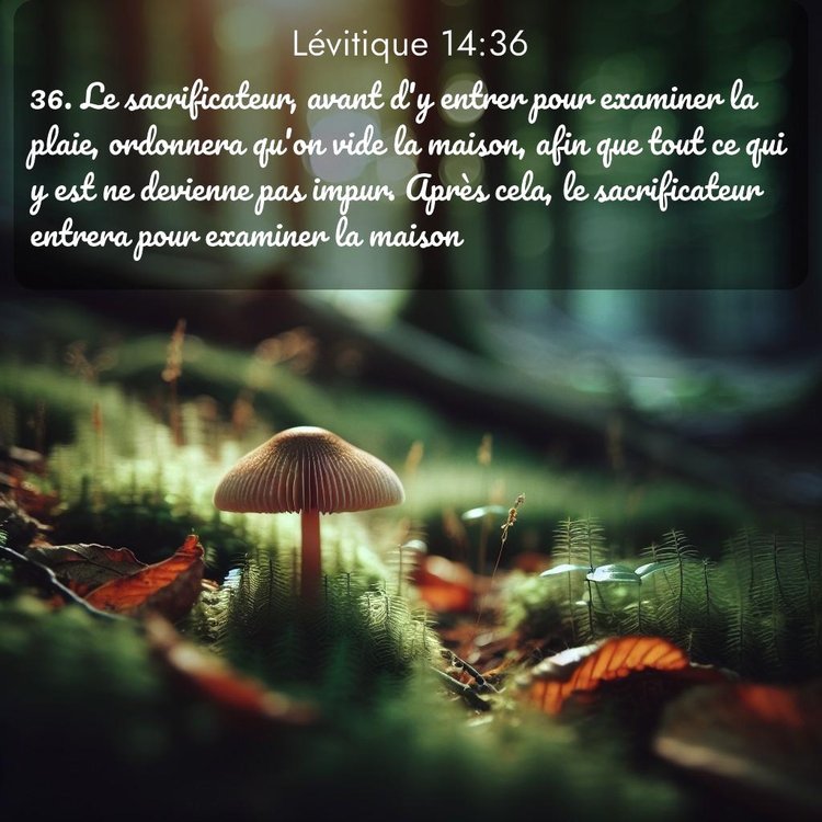 Segond Lévitique 14:36