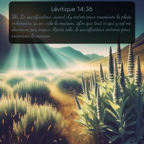 Segond Lévitique  ; image nature: image avec le verset biblique :Le sacrificateur, avant d&#039;y entrer pour examiner la plaie, ordonnera qu&#039;on vide la maison, afin que tout ce qui y est ne devienne pas impur. Après cela, le sacrificateur entrera pour examiner la maison. ;  ; 14:36