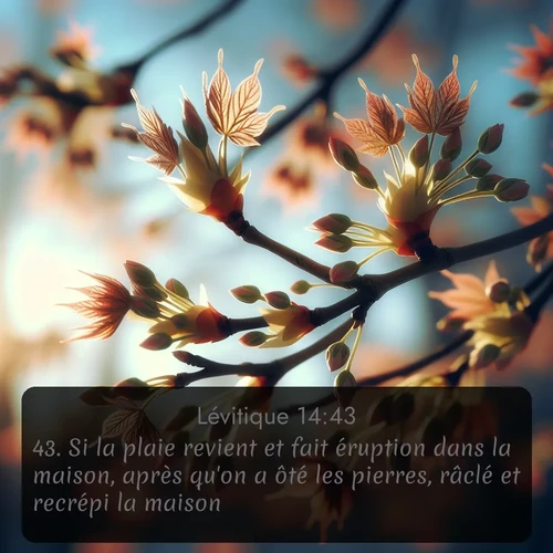 Segond Lévitique  ; image nature: image avec le verset biblique :Si la plaie revient et fait éruption dans la maison, après qu&#039;on a ôté les pierres, râclé et recrépi la maison, ;  ; 14:43