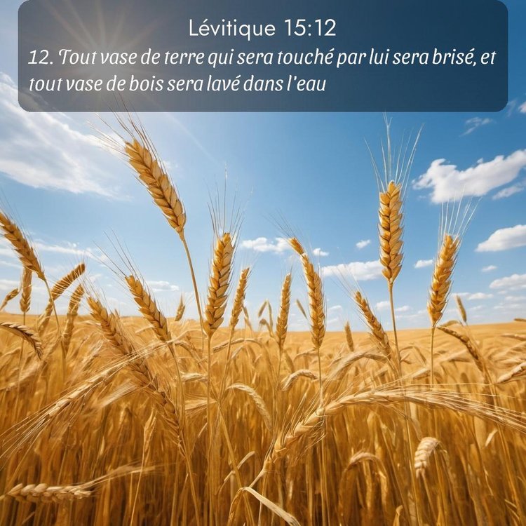 Segond Lévitique 15:12