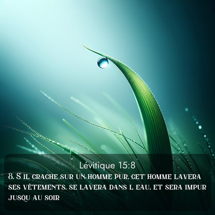 Segond Lévitique 15:8