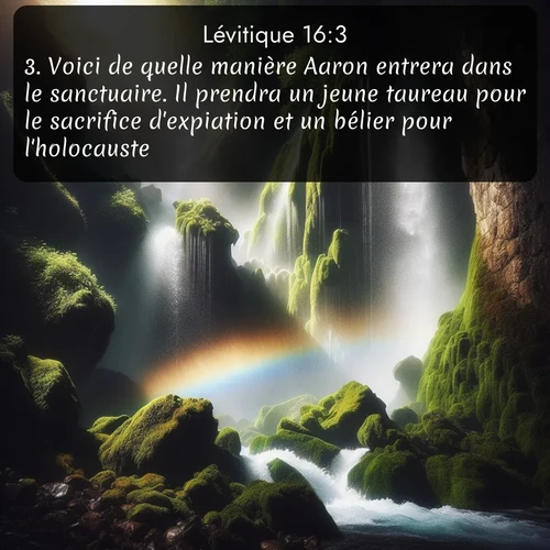 Segond Lévitique  ; image nature: image avec le verset biblique :Voici de quelle manière Aaron entrera dans le sanctuaire. Il prendra un jeune taureau pour le sacrifice d&#039;expiation et un bélier pour l&#039;holocauste. ;  ; 16:3