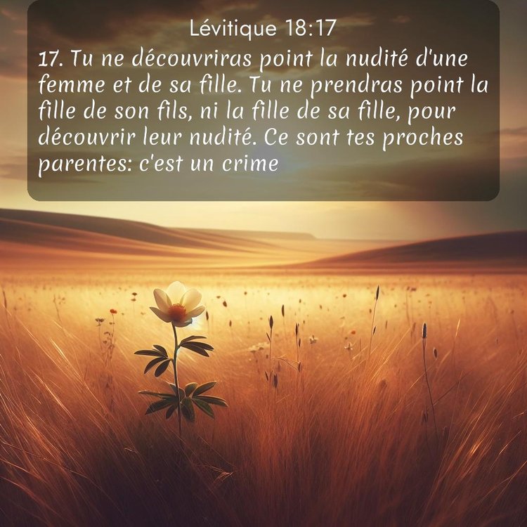 Segond Lévitique 18:17