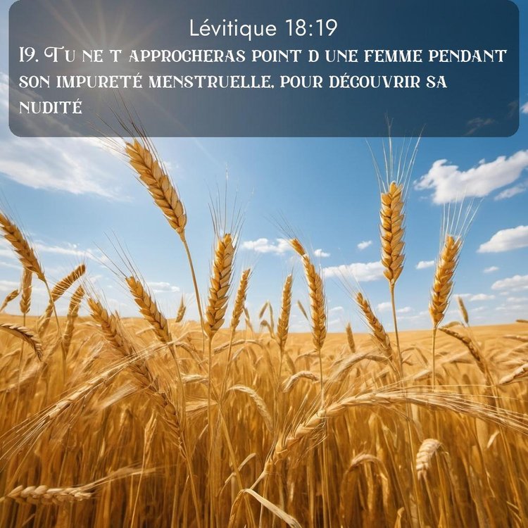 Segond Lévitique 18:19