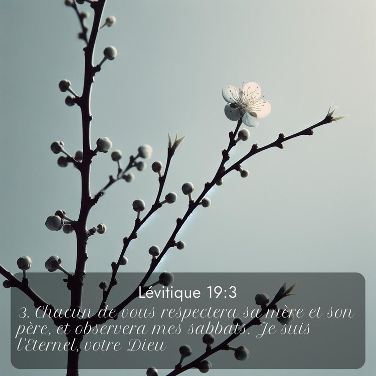 Segond Lévitique 19:3