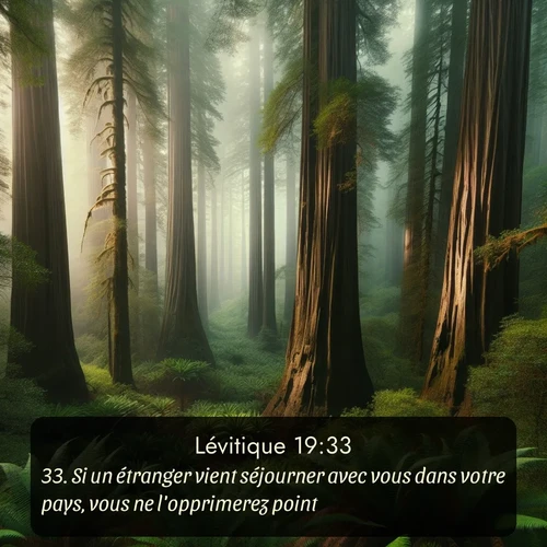 Segond Lévitique  ; image nature: image avec le verset biblique :Si un étranger vient séjourner avec vous dans votre pays, vous ne l&#039;opprimerez point. ;  ; 19:33