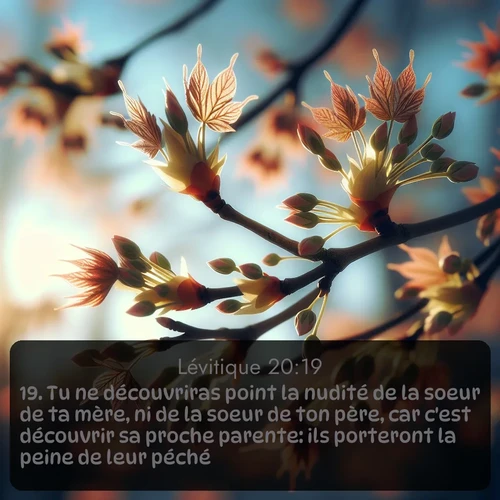 Segond Lévitique  ; image nature: image avec le verset biblique :Tu ne découvriras point la nudité de la soeur de ta mère, ni de la soeur de ton père, car c&#039;est découvrir sa proche parente: ils porteront la peine de leur péché. ;  ; 20:19