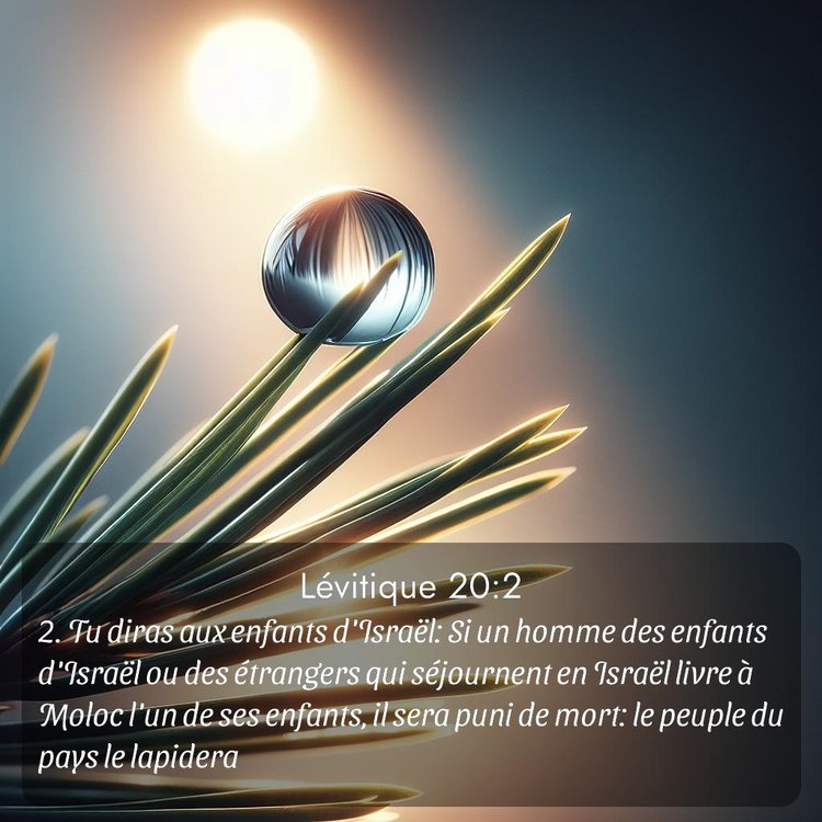 Segond Lévitique 20:2