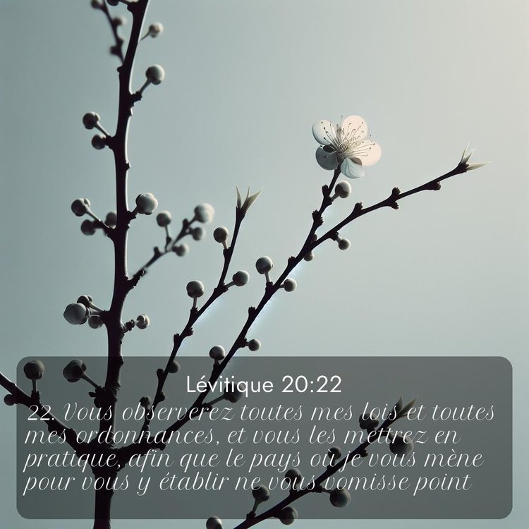 Segond Lévitique 20:22