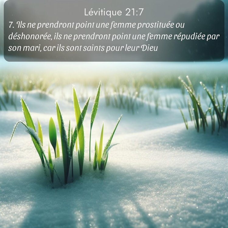 Segond Lévitique 21:7