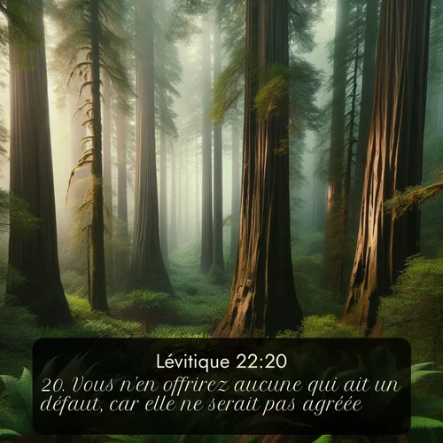 Segond Lévitique  ; image nature: image avec le verset biblique :Vous n&#039;en offrirez aucune qui ait un défaut, car elle ne serait pas agréée. ;  ; 22:20