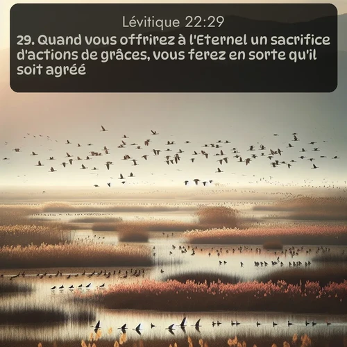 Segond Lévitique  ; image nature: image avec le verset biblique :Quand vous offrirez à l&#039;Eternel un sacrifice d&#039;actions de grâces, vous ferez en sorte qu&#039;il soit agréé. ;  ; 22:29
