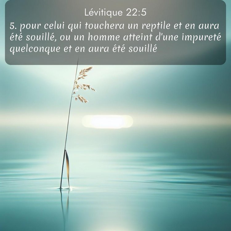 image nature avec verset biblique de la Bible