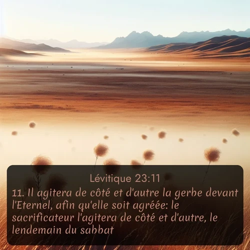 Segond Lévitique  ; image nature: image avec le verset biblique :Il agitera de côté et d&#039;autre la gerbe devant l&#039;Eternel, afin qu&#039;elle soit agréée: le sacrificateur l&#039;agitera de côté et d&#039;autre, le lendemain du sabbat. ;  ; 23:11