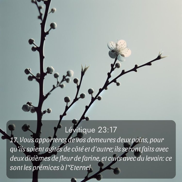 Segond Lévitique 23:17