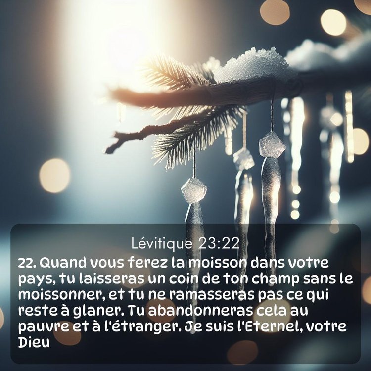 Segond Lévitique 23:22