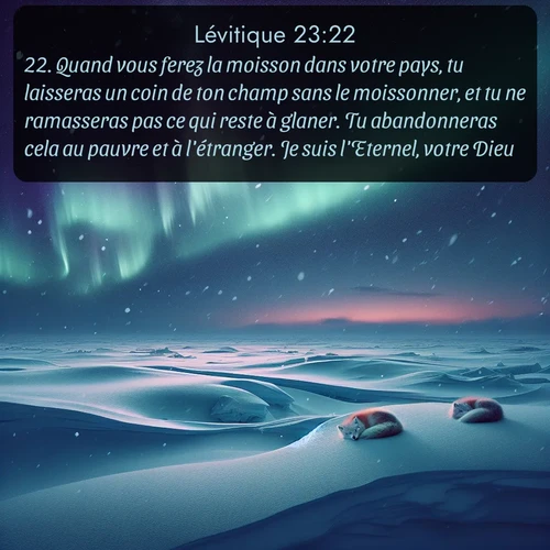 Segond Lévitique  ; image nature: image avec le verset biblique :Quand vous ferez la moisson dans votre pays, tu laisseras un coin de ton champ sans le moissonner, et tu ne ramasseras pas ce qui reste à glaner. Tu abandonneras cela au pauvre et à l&#039;étranger. Je suis l&#039;Eternel, votre Dieu. ;  ; 23:22