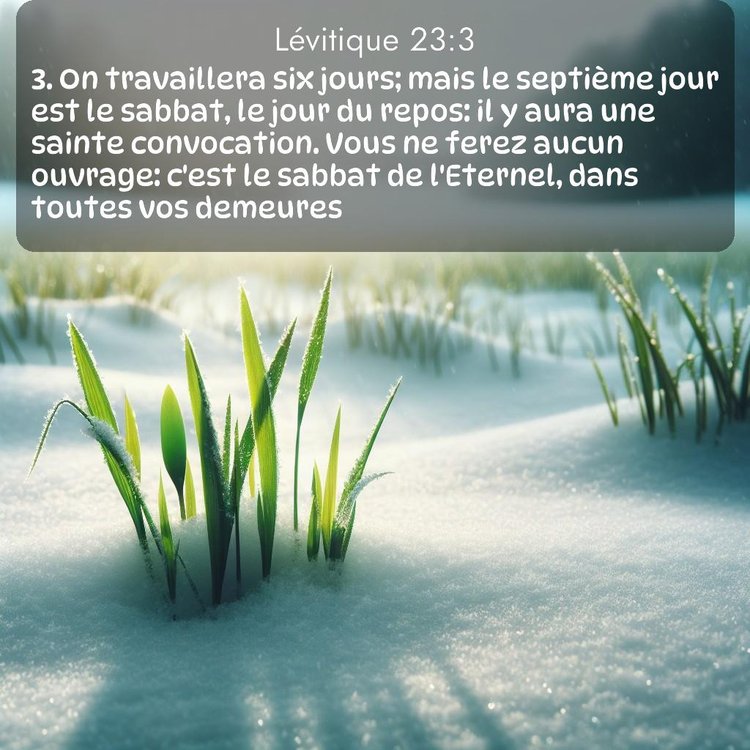 Segond Lévitique 23:3