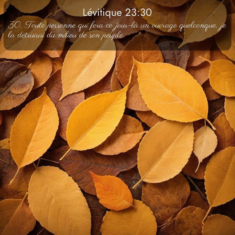 Segond Lévitique 23:30