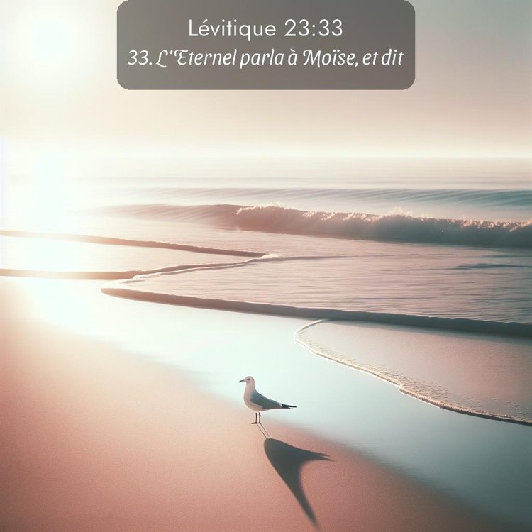 Segond Lévitique 23:33