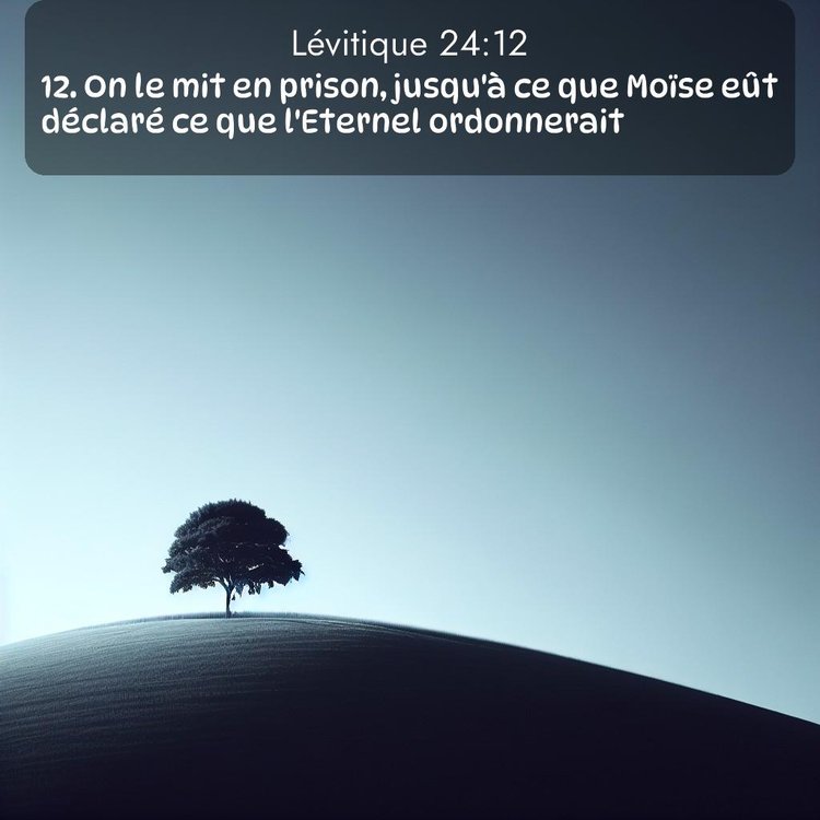 Segond Lévitique 24:12