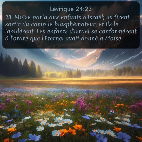 Segond Lévitique  ; image nature: image avec le verset biblique :Moïse parla aux enfants d&#039;Israël; ils firent sortir du camp le blasphémateur, et ils le lapidèrent. Les enfants d&#039;Israël se conformèrent à l&#039;ordre que l&#039;Eternel avait donné à Moïse. ;  ; 24:23