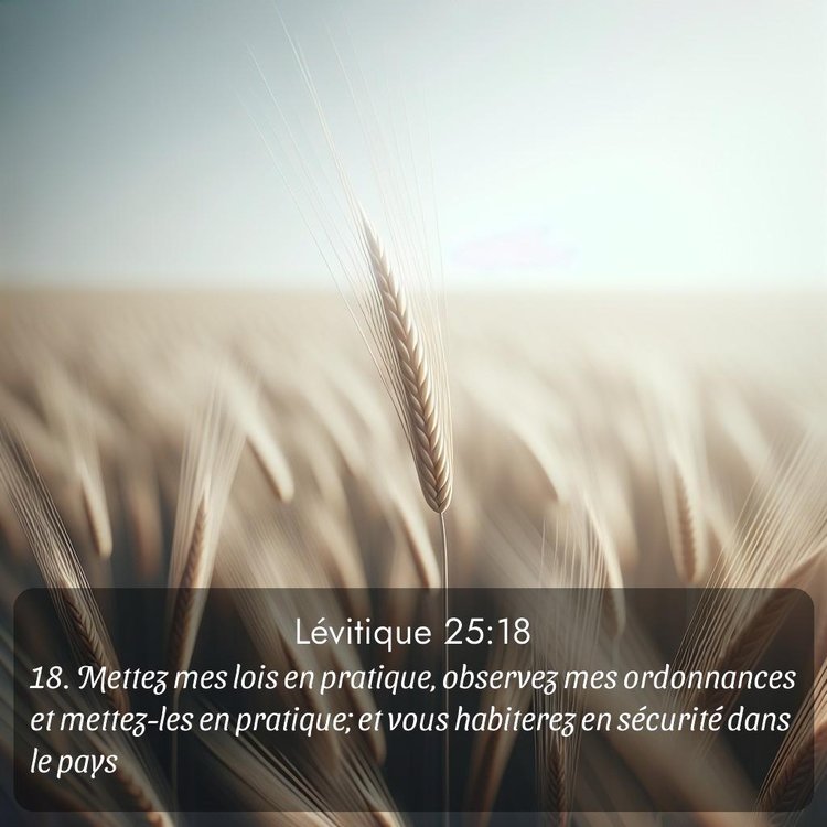 Segond Lévitique 25:18