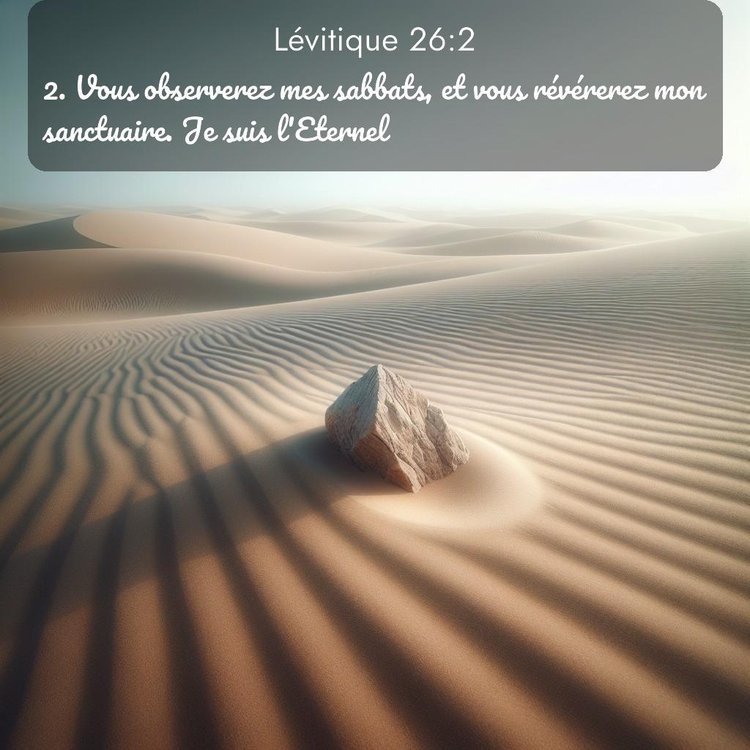 Segond Lévitique 26:2