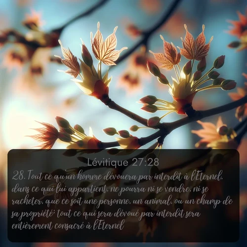Segond Lévitique  ; image nature: image avec le verset biblique :Tout ce qu&#039;un homme dévouera par interdit à l&#039;Eternel, dans ce qui lui appartient, ne pourra ni se vendre, ni se racheter, que ce soit une personne, un animal, ou un champ de sa propriété; tout ce qui sera dévoué par interdit sera entièrement consacré à l&#039;Eternel. ;  ; 27:28