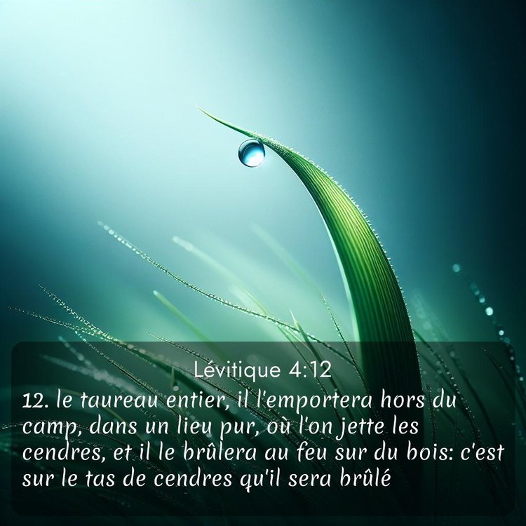 Segond Lévitique 4:12