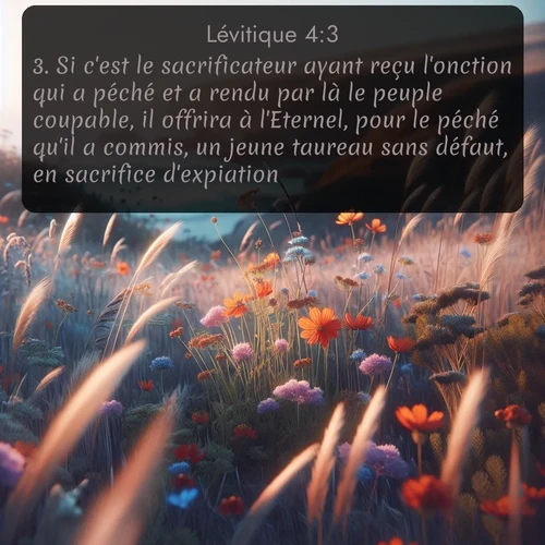Segond 3 4:3