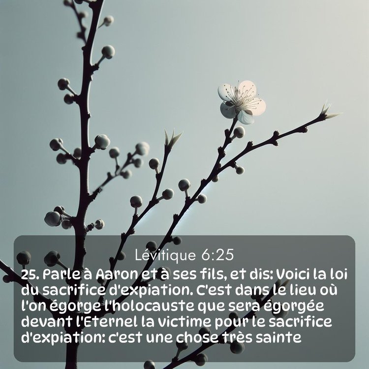 image nature avec verset biblique de la Bible