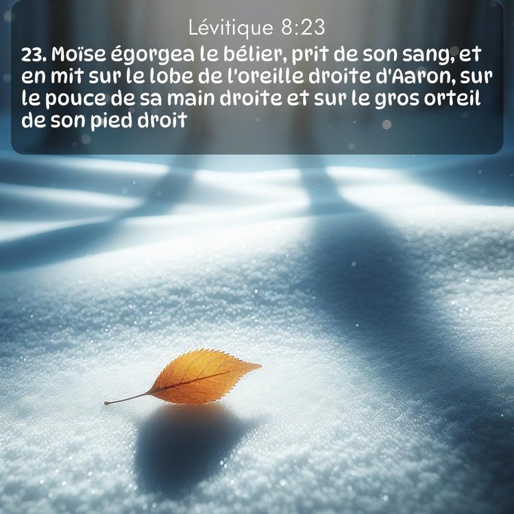 Segond Lévitique 8:23