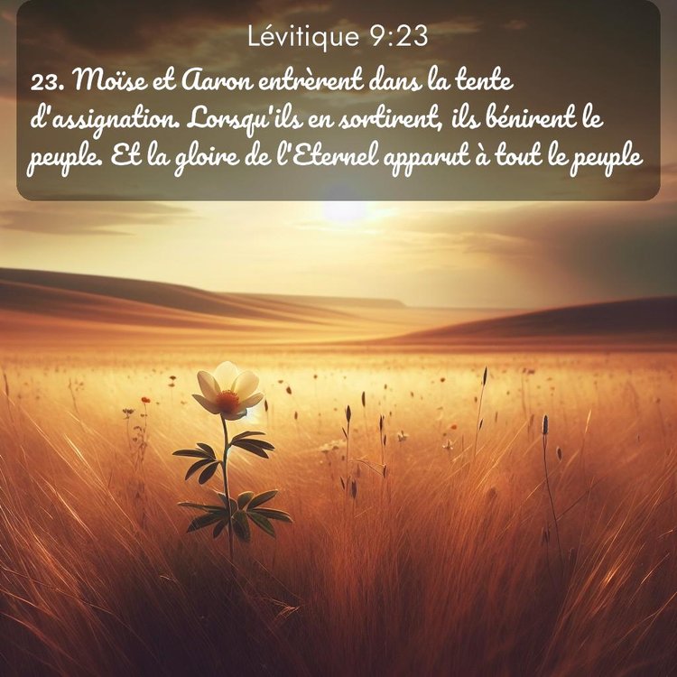 Segond Lévitique 9:23