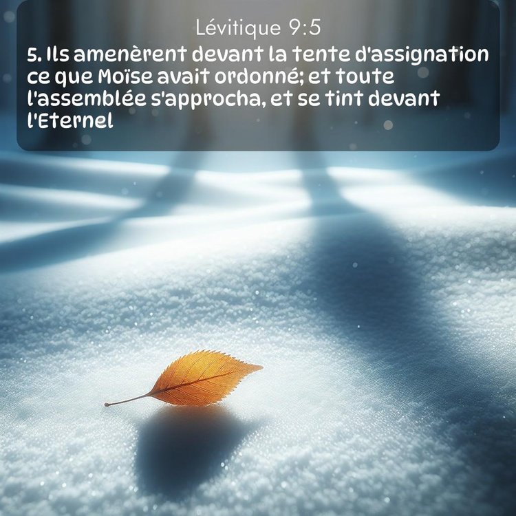 Segond Lévitique 9:5