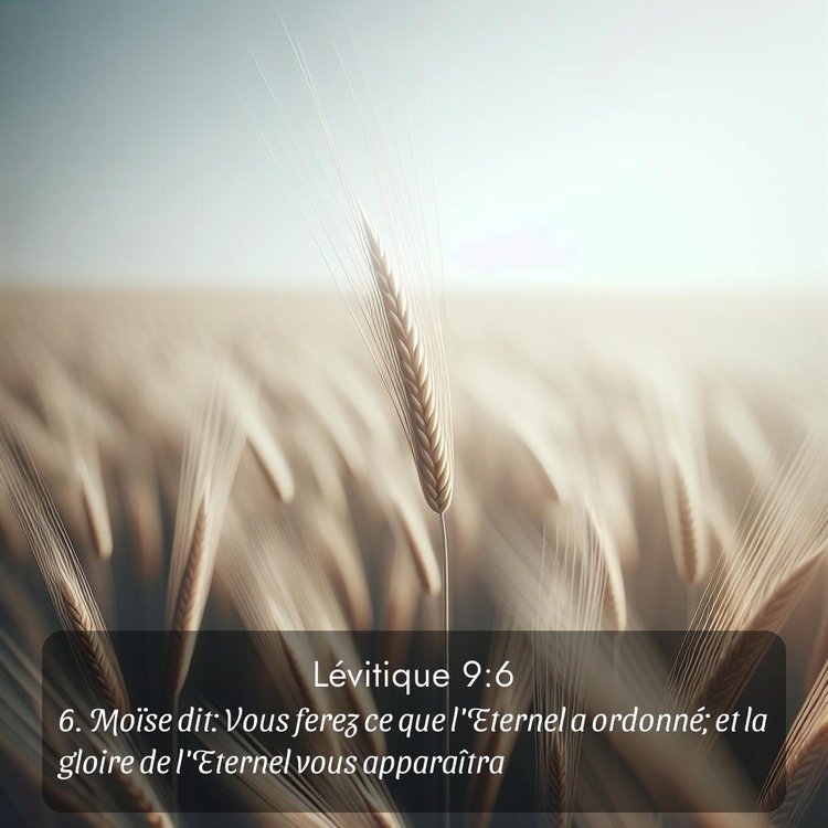 Segond Lévitique 9:6