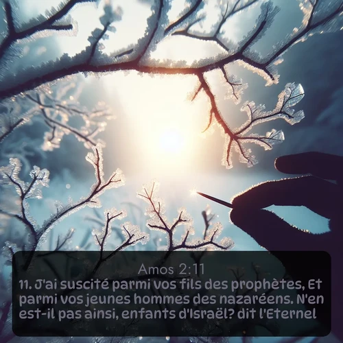 Segond Amos  ; image nature: image avec le verset biblique :J&#039;ai suscité parmi vos fils des prophètes, Et parmi vos jeunes hommes des nazaréens. N&#039;en est-il pas ainsi, enfants d&#039;Israël? dit l&#039;Eternel... ;  ; 2:11