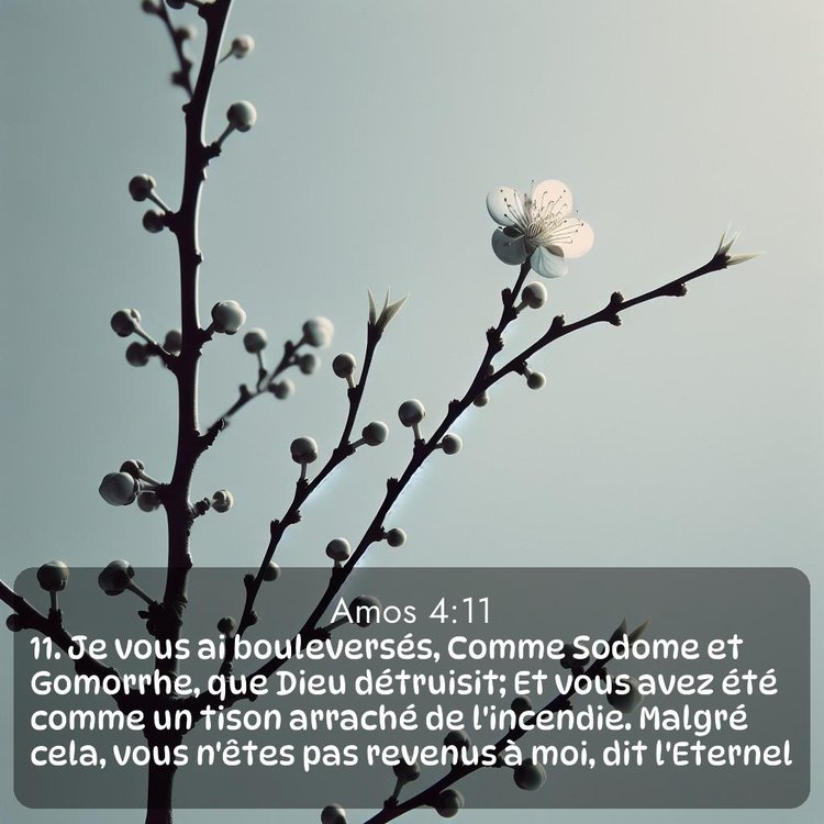 image nature avec verset biblique de la Bible