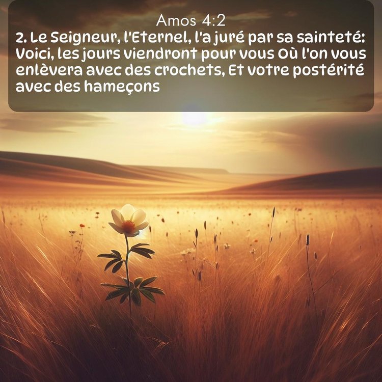 image nature avec verset biblique de la Bible