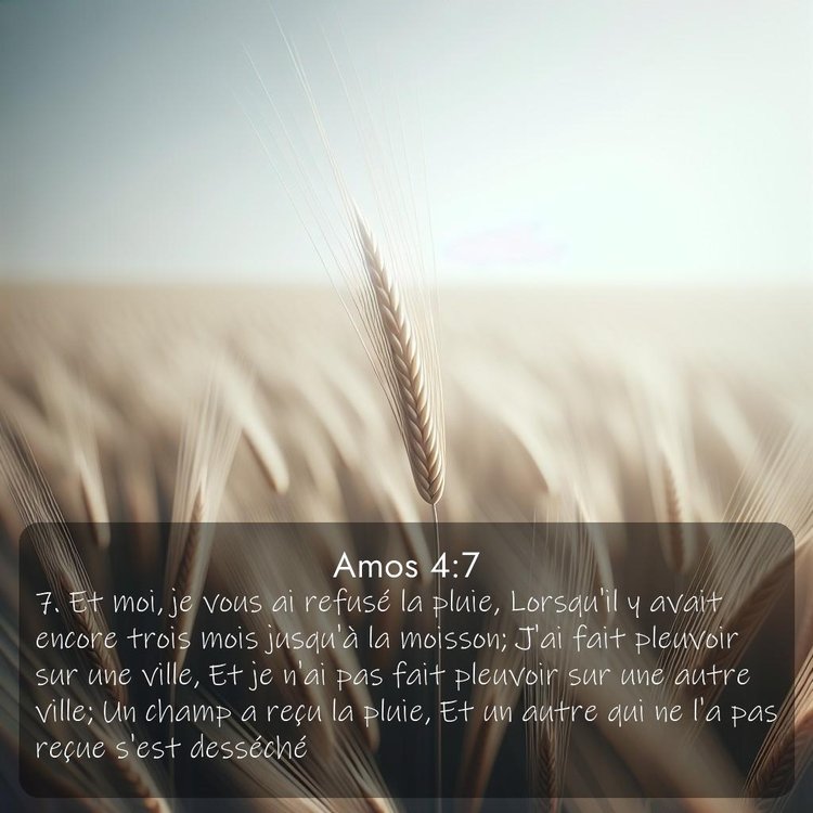 image nature avec verset biblique de la Bible