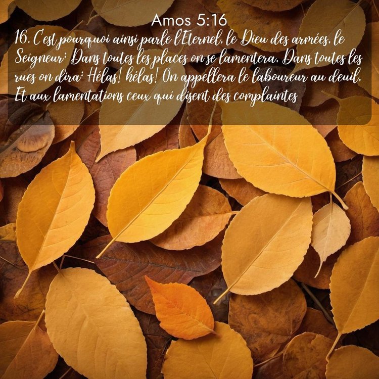 image nature avec verset biblique de la Bible